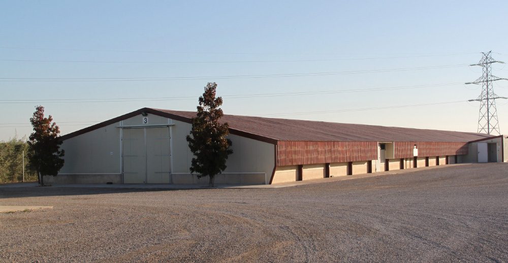Urgasa quail farm building