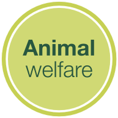 Animal welfare