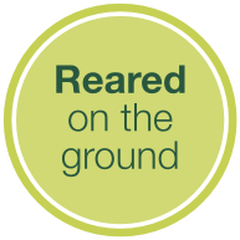 Reared on the ground