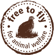 Free to Fly logo