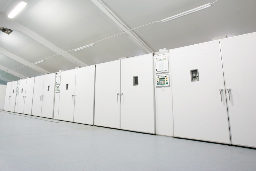 Urgasa hatchery incubators